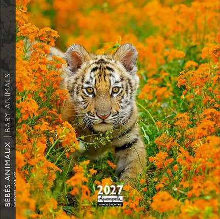 Aquarupella Baby Dieren Kalender 2027 Mini