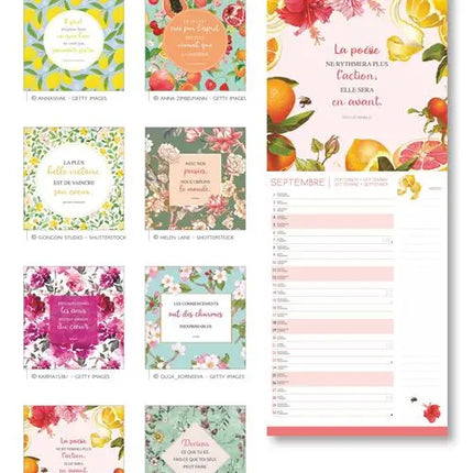 Aquarupella Citations Slimline Kalender 2027