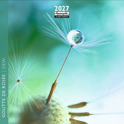 Aquarupella Dauw Kalender 2027 Mini