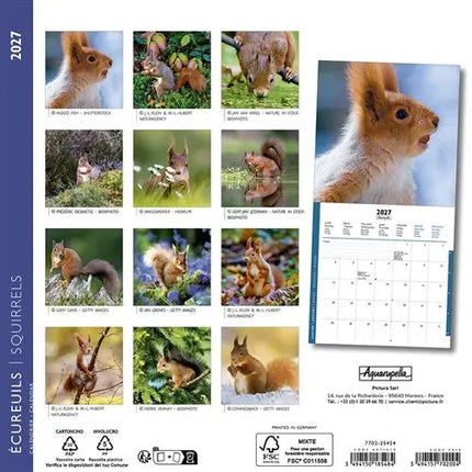 Aquarupella Eekhoorn Kalender 2027 Mini