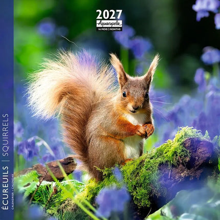 Aquarupella Eekhoorn Kalender 2027 Mini