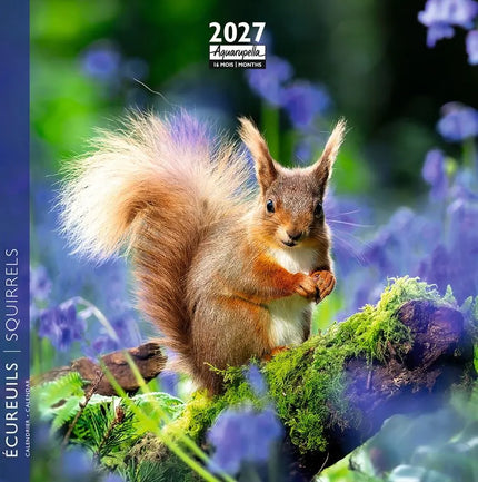 Aquarupella Eekhoorn Kalender 2027 Mini
