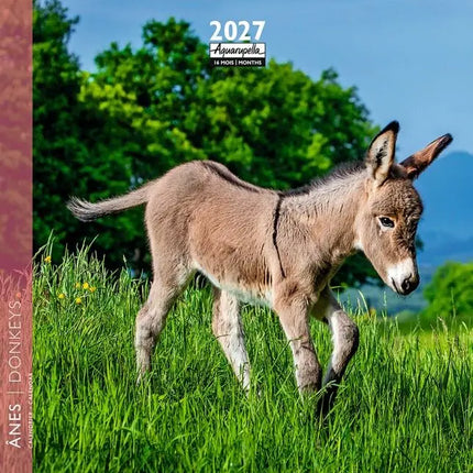Aquarupella Ezels Kalender 2027 Mini