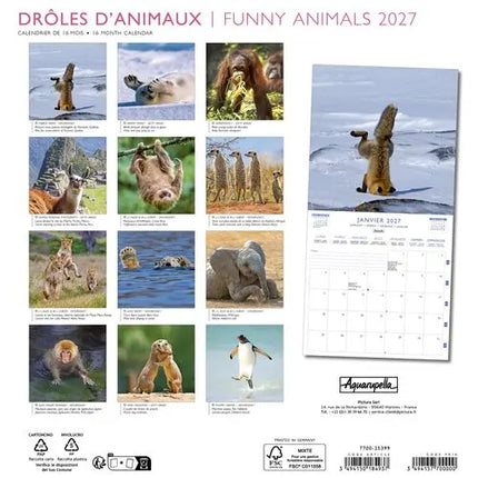 Aquarupella Funny Animals Kalender 2027