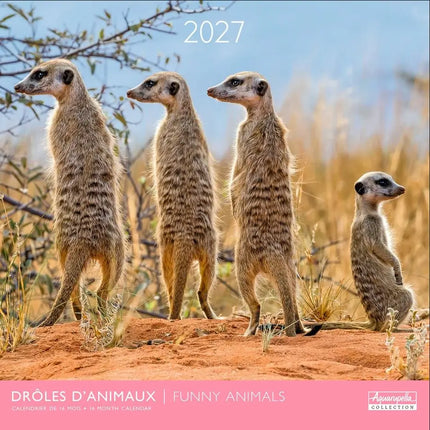 Aquarupella Funny Animals Kalender 2027