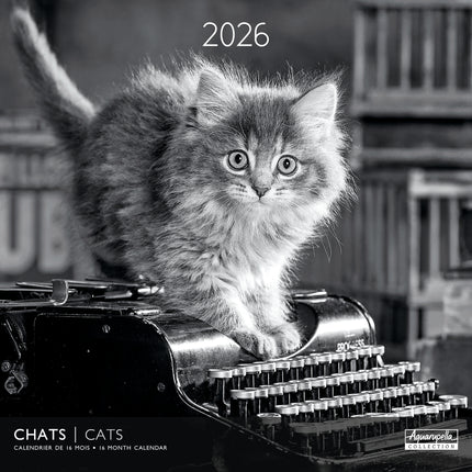 Aquarupella Katten in Zwart Wit Kalender 2026