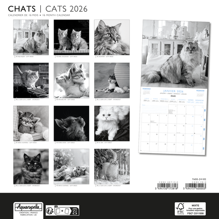 Aquarupella Katten in Zwart Wit Kalender 2027