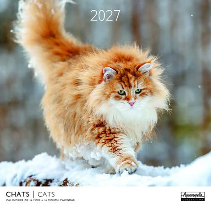 Aquarupella Katten Kalender 2027