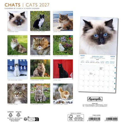 Aquarupella Katten Kalender 2027