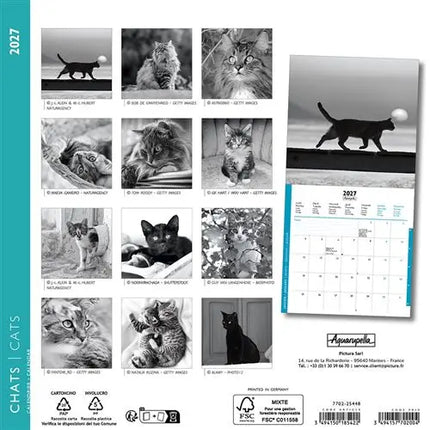 Aquarupella Katten Kalender 2027 Mini