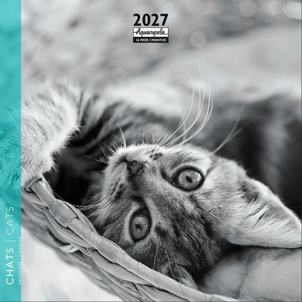 Aquarupella Katten Kalender 2027 Mini