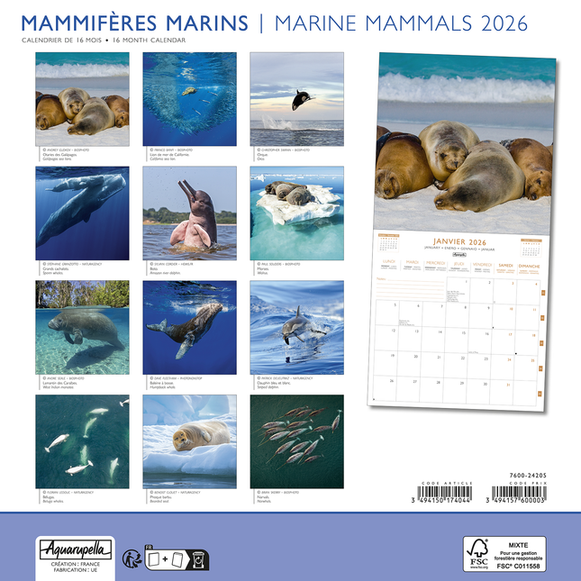 Aquarupella Marine Mammals Kalender 2026