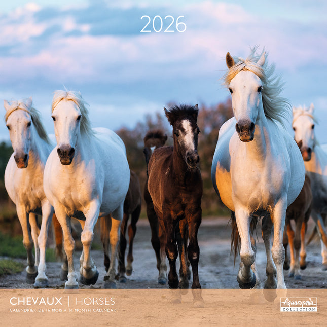 Aquarupella Paarden Kalender 2026