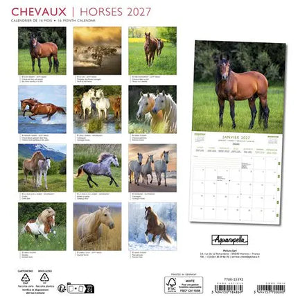 Aquarupella Paarden Kalender 2027