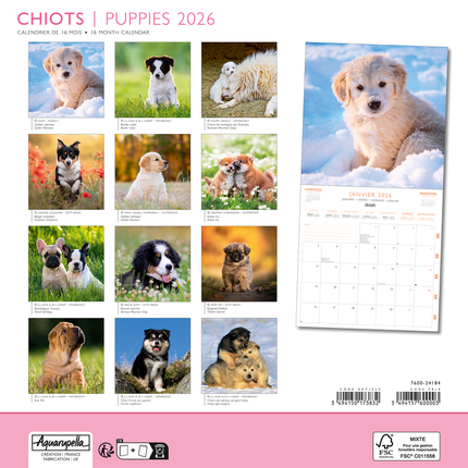Aquarupella Puppies Kalender 2027