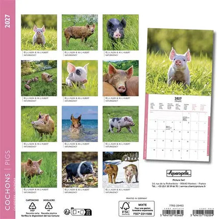 Aquarupella Varkens Kalender 2027 Mini