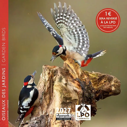 Aquarupella Vogels Kalender 2027 Mini