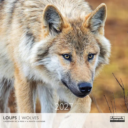 Aquarupella Wolven Kalender 2027