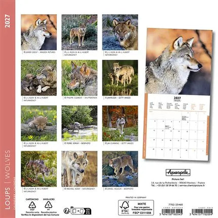 Aquarupella Wolven Kalender 2027 Mini