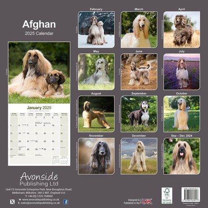 Avonside Afghaanse Windhond Kalender 2025