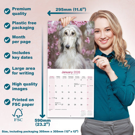 Avonside Afghaanse Windhond Kalender 2026