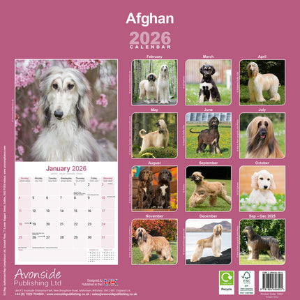 Avonside Afghaanse Windhond Kalender 2026