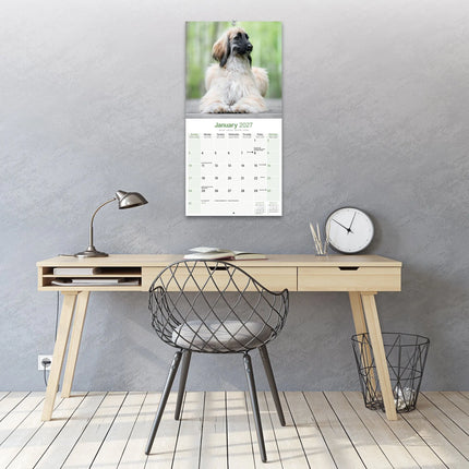 Avonside Afghaanse Windhond Kalender 2027