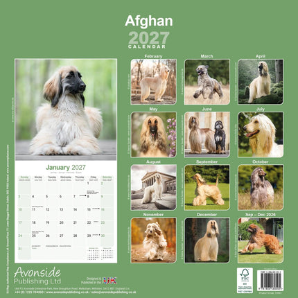 Avonside Afghaanse Windhond Kalender 2027