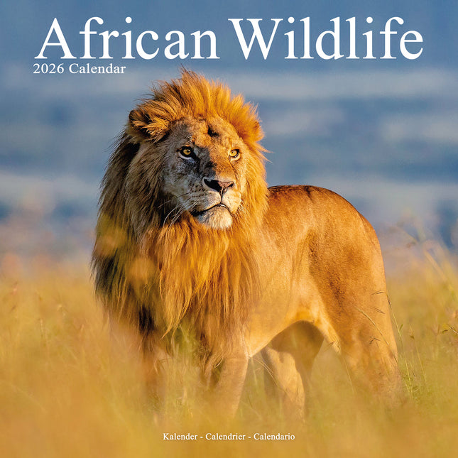 Avonside African Wildlife Kalender 2027