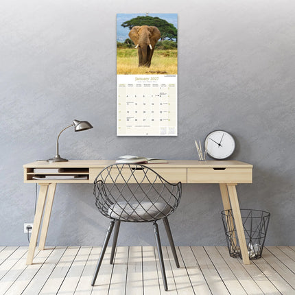 Avonside African Wildlife Kalender 2027
