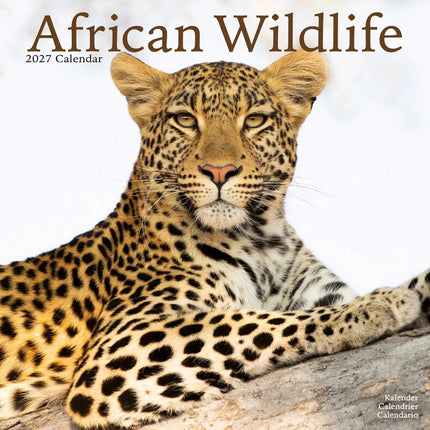 Avonside African Wildlife Kalender 2027