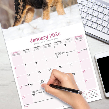 Avonside Airedale Terrier Kalender 2026