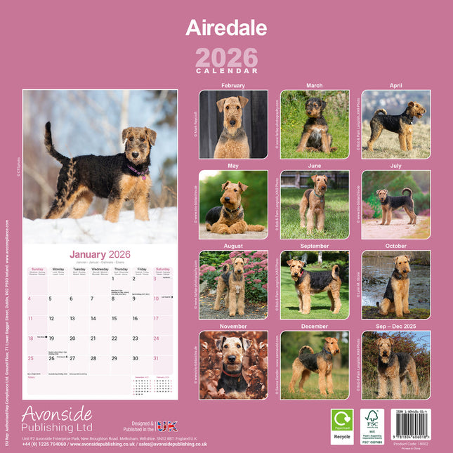 Avonside Airedale Terrier Kalender 2026
