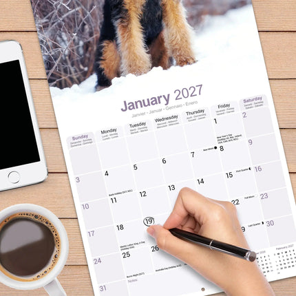 Avonside Airedale Terrier Kalender 2027