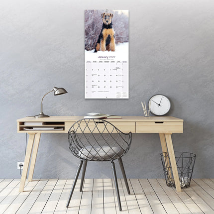Avonside Airedale Terrier Kalender 2027