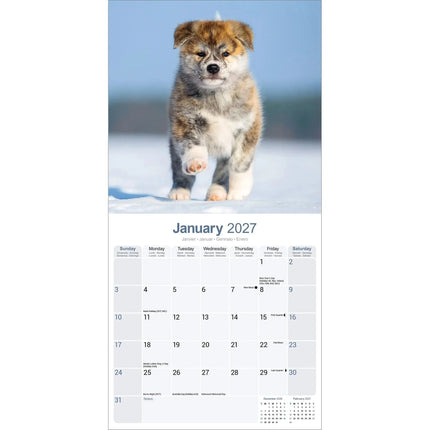 Avonside Akita Kalender 2027