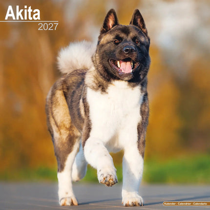 Avonside Akita Kalender 2027