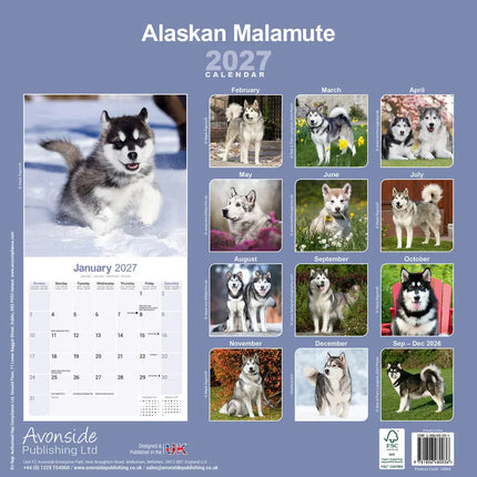 Avonside Alaskan Malamute Kalender 2027