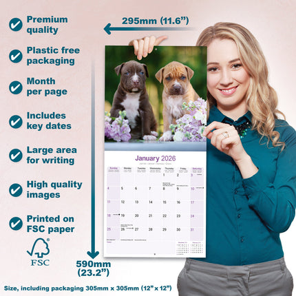 Avonside American Pit Bull Terrier Kalender 2026