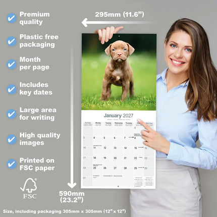 Avonside American Pit Bull Terrier Kalender 2027