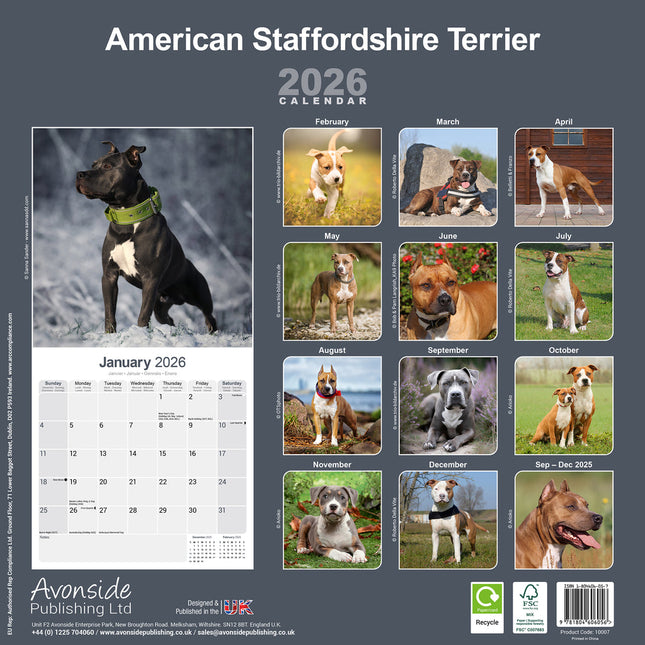 Avonside American Staffordshire Terrier Kalender 2026