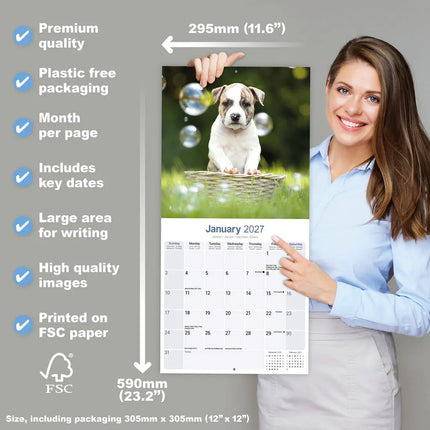 Avonside American Staffordshire Terrier Kalender 2027