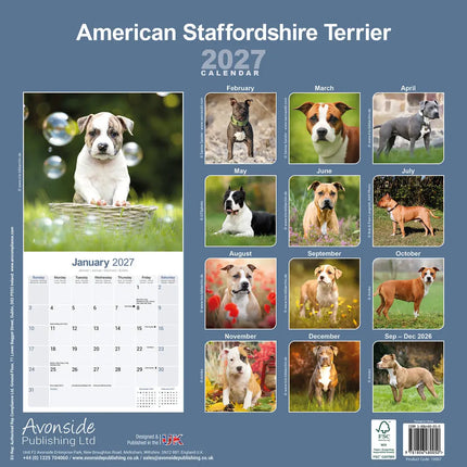 Avonside American Staffordshire Terrier Kalender 2027