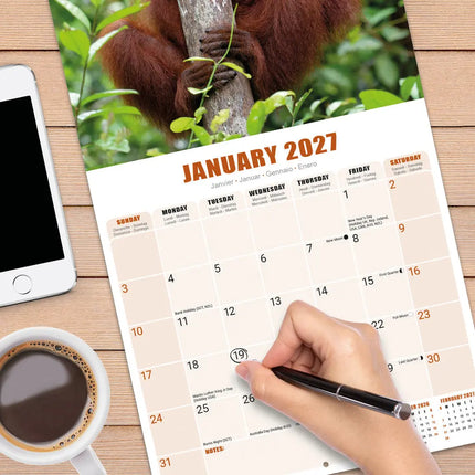 Avonside Apen Kalender 2027