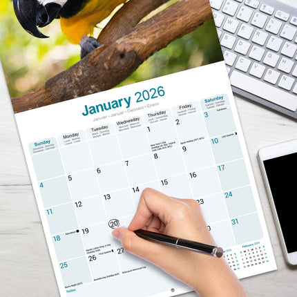 Avonside Ara Kalender 2026