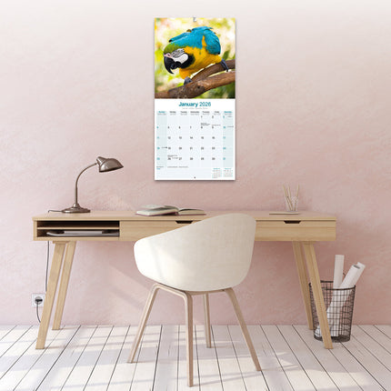 Avonside Ara Kalender 2026