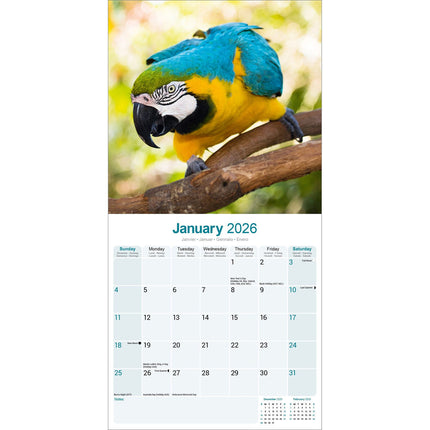 Avonside Ara Kalender 2026
