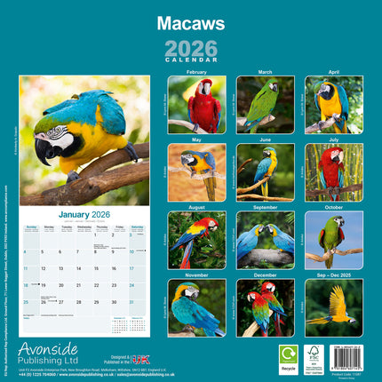 Avonside Ara Kalender 2026