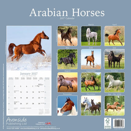 Avonside Arabier Kalender 2027