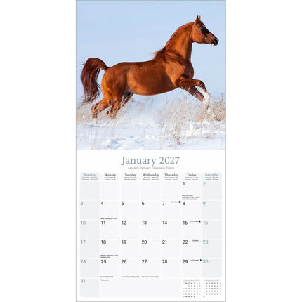 Avonside Arabier Kalender 2027